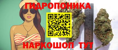 герыч Лесосибирск
