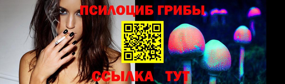 Тихорецк  Галлюциногенные грибы GOLDEN TEACHER  Вход с VPN 